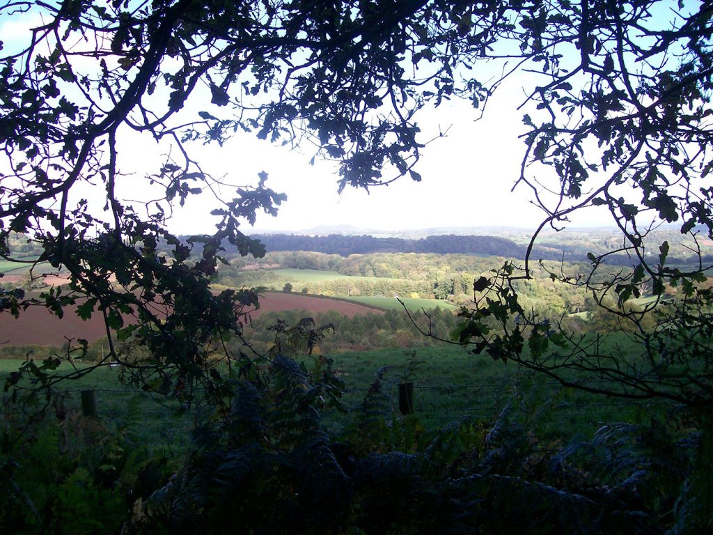 Folk Festival Walk
