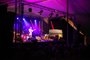 Concert at Bromyard Folk Festival photo by Malcolm Locker