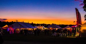 Bromyard Folk Festival photo by Malcolm Locker